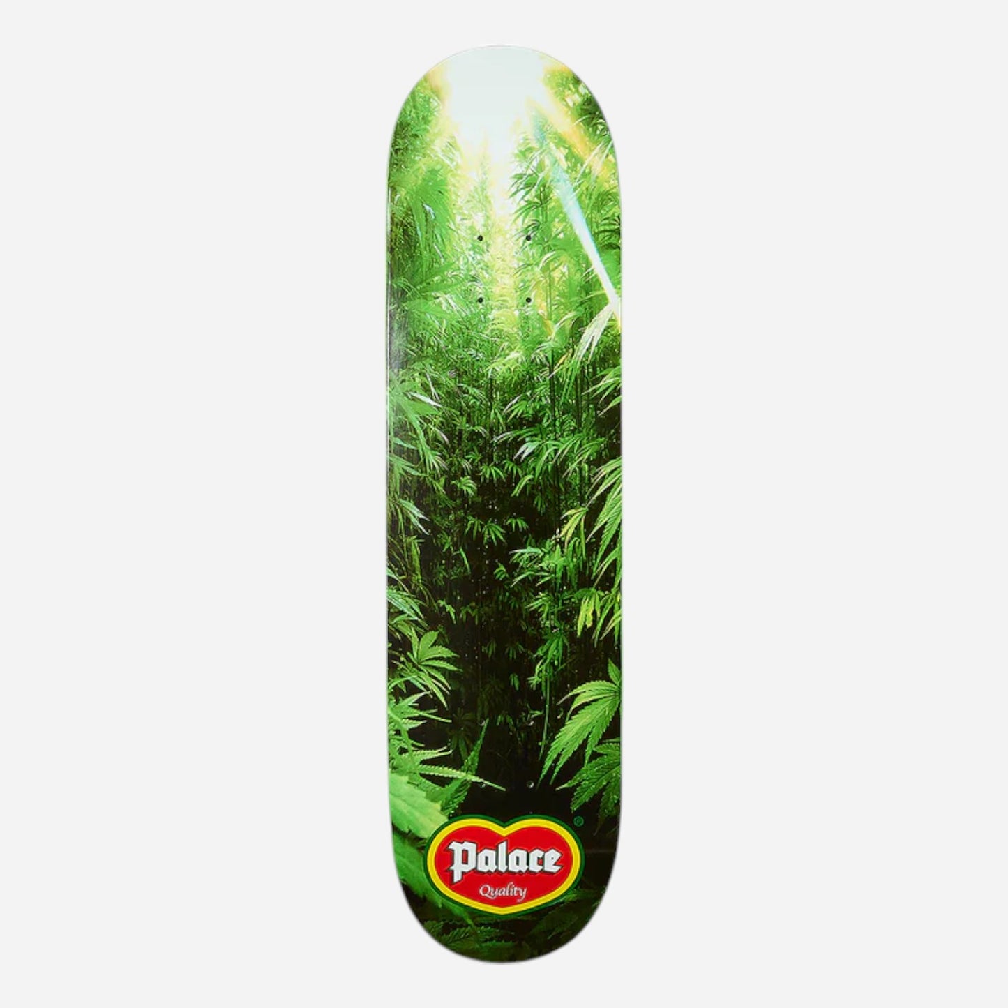 Palace - Quality Deck - 8.1"