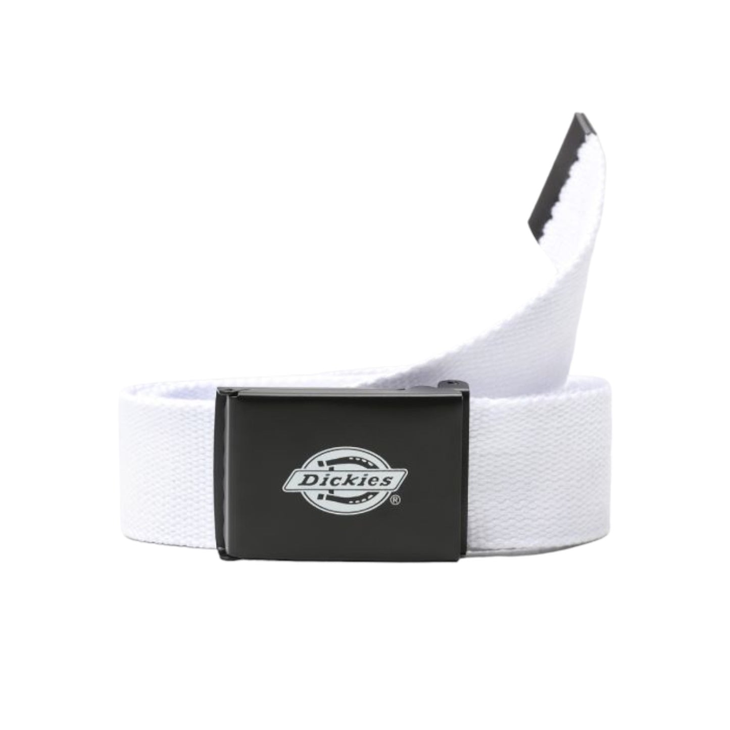 Dickies - Orcutt Belt - White