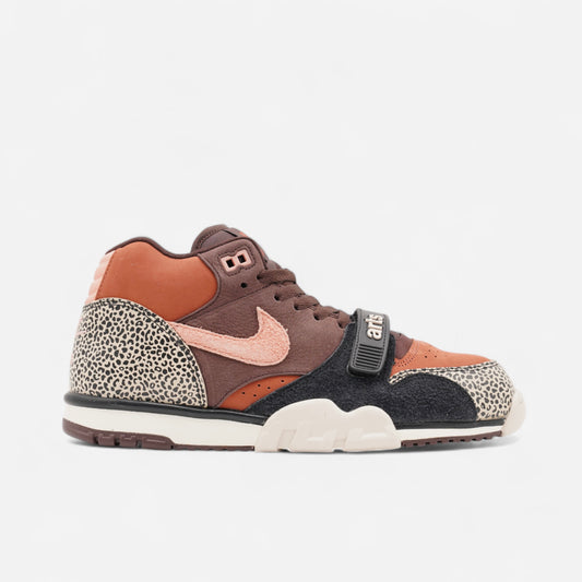 Nike SB - Air Trainer 1 Arts And Rec Shoes - Limestone/Pink/Quartz Earth