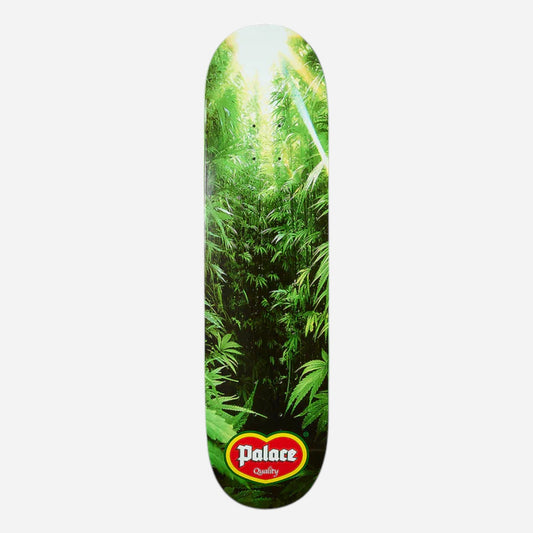 Palace - Quality Deck - 8.1"