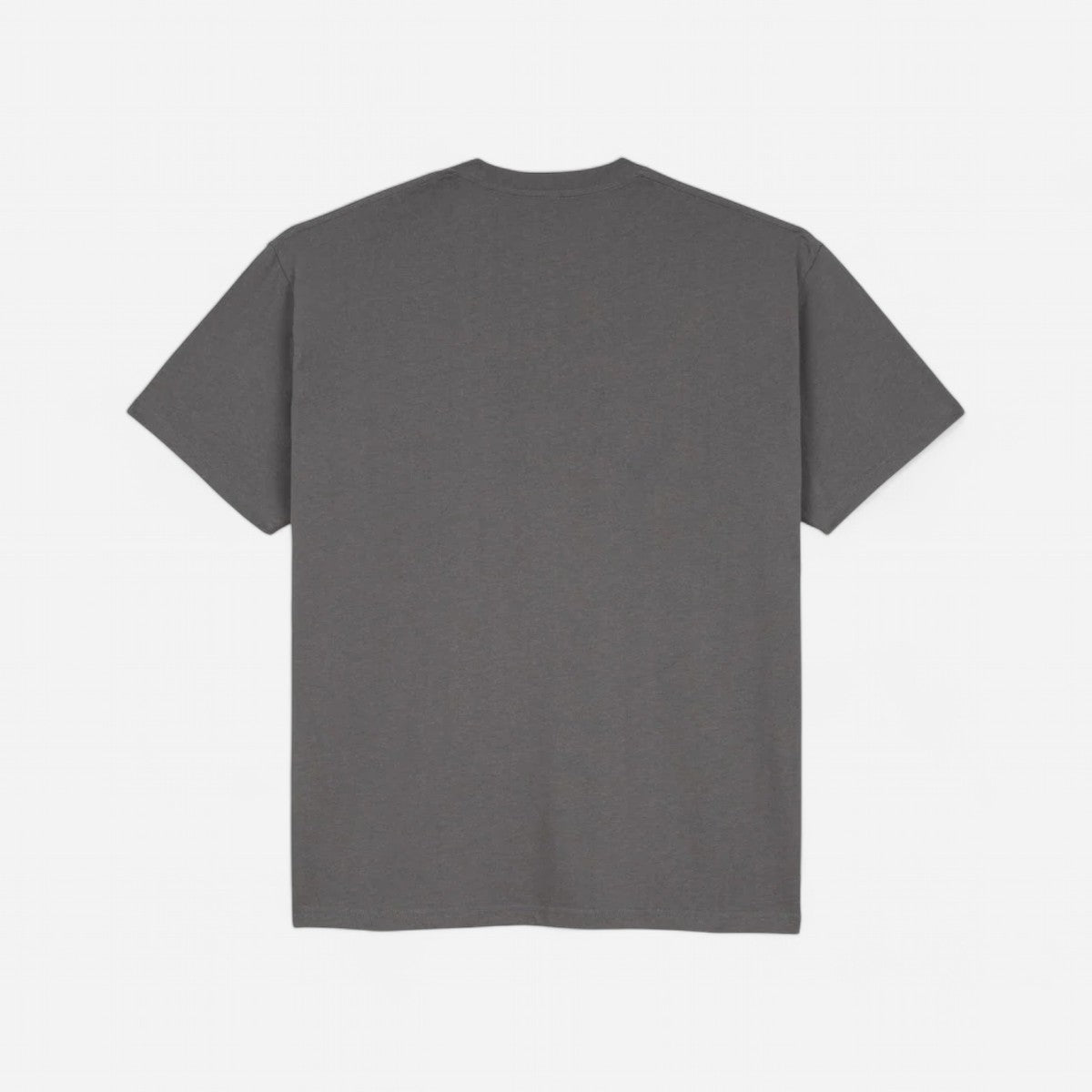 Polar - Everything Is Normal Tee - Graphite